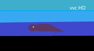 SEA REKS