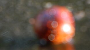 О простом и сложном в фотографии