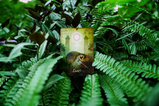 Интересное.