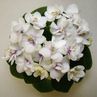 ФотоГалерея