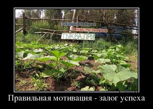 Сад и огород