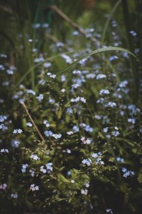 Снимаю природов. Красивое.