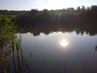 Летняя рыбалка 