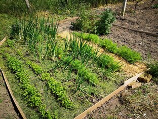 Садовые работы по месяцам