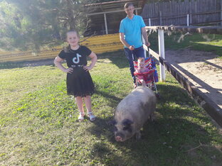 Веселое подворье