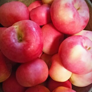 Сад, огород.