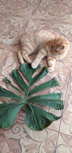 Сравнение цен на маркет плейсах