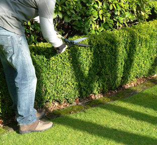 Уход за садом