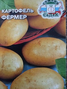 Рассада картофеля 2023г