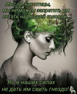 Мысли и цитаты об успешности 