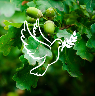 РОДИТЕЛЯМ🕊️