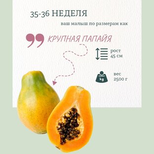 УЗИ Малышей