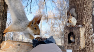 Январь 2023-2024