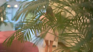 дивный мир вокруг