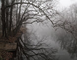 Городские  легенды 