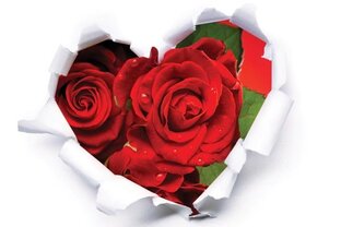 Поздравления!