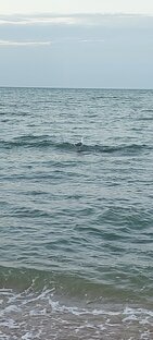 Лучшие моменты