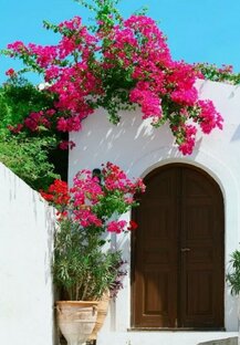 ВСЁ О НЕДВИЖИМОСТИ