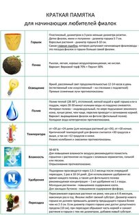 Начинающим об агротехнике