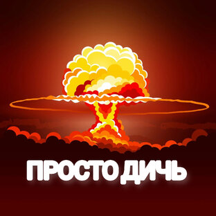 ПРОСТО ДИЧЬ