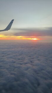 #Иммиграция