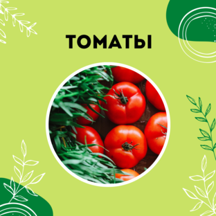 Про томаты