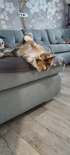 Аська отдыхает