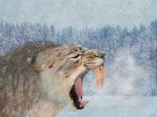 Человек и природа (статьи)