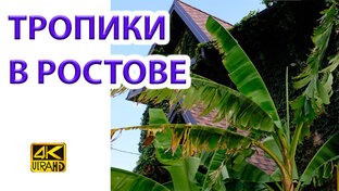 Наш сад