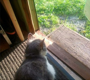 НАХОДЧИВОСТЬ