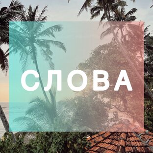 СЛОВА ВАЖНЫ