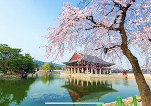 Расслабляющая музыка, флейта, фортепьяно, звуки проводы