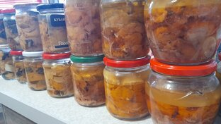 Блюда с индюшатины