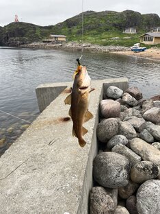 Рыбалка around the Russia