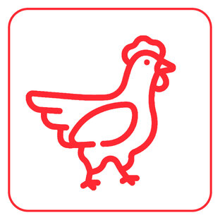 Выращивание, кормление и здоровье бройлеров