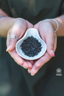 АССОРТИМЕНТ