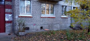 225 часть сильная девочка 