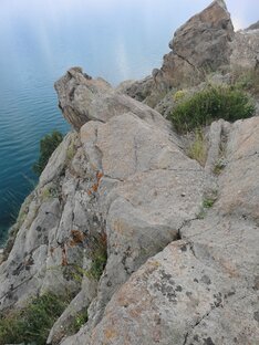 Короткие видео