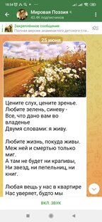 Читаю стихи.