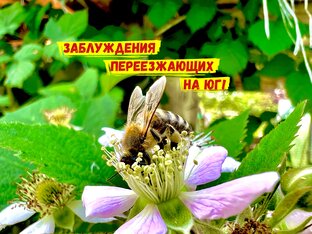 Заблуждения переезжающих в Краснодарский край!