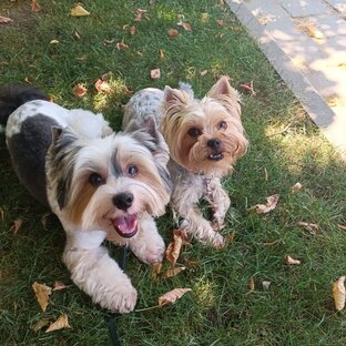 Юмор и позитив