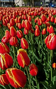 уДачный сезон 2023