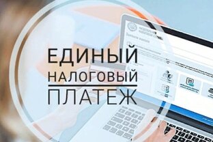 Единый налоговый платеж - 2023.