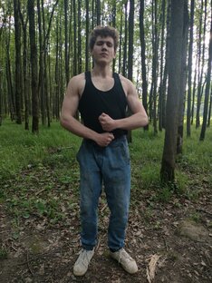 Мои тренировки