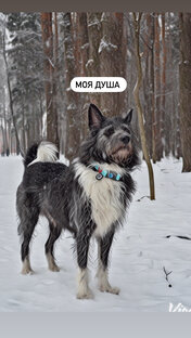 Мой неповторимый 🔥