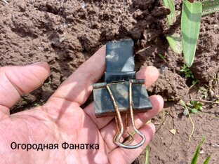 Лайфхаки для огорода