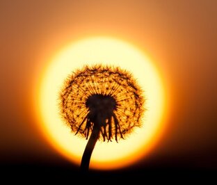 Просто о жизни