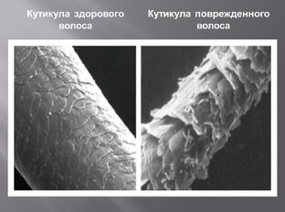 Пористость волос. Как определить?