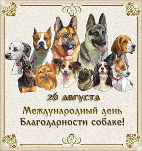 "Хочешь, пёс, я тебя поцелую..!"