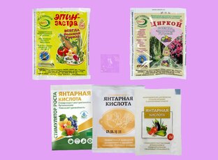 Цветоводство: полезная информация